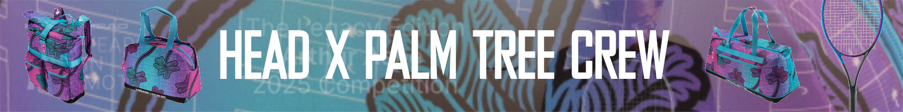 dition limit head x palm tree crew